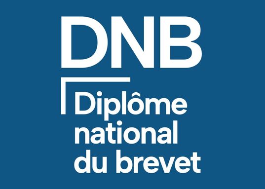 Logo-dnb2-1024x731.jpg